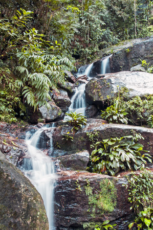 Waterfall in Tijuca park in Rioの写真素材