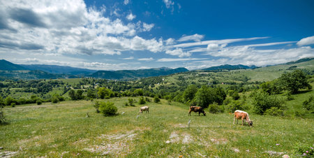 Montenegro hillsの写真素材