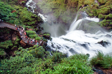 The Argentine side of Iguazu National Parkのeditorial素材