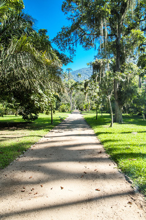 Rio de Janeiro botanical gardenの写真素材