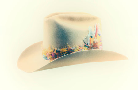 Brown cowboy hat with feather isolated on white background