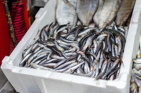 Fresh fish lying in a tray on the market for saleの写真素材