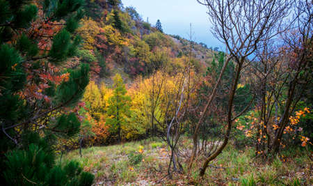 The nature of the Holy Mountain Athos, Greek Macedoniaの写真素材