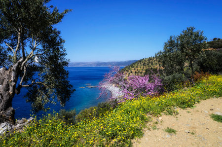Beautiful nature of the Holy Athos Mountain
