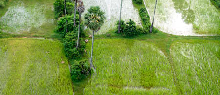 Siem Reap aerial view. Cambodiaの写真素材