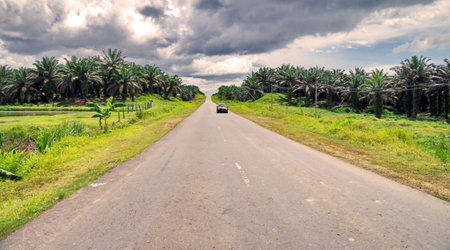 A roads of the Borneo