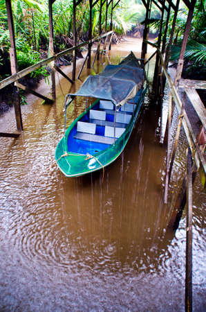 A tropical rain on Borneoの写真素材