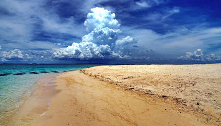 Selingan turtle islandの写真素材