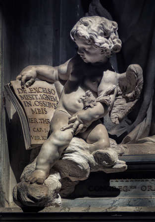 ROME - MARCH 31, 2019: Inside the St Peter's Basilica or San Pietro in Vatican City, Rome, Italy. Panoranma of the luxurious Renaissance interior. Saint Peter is one of the main landmarks of Rome.のeditorial素材