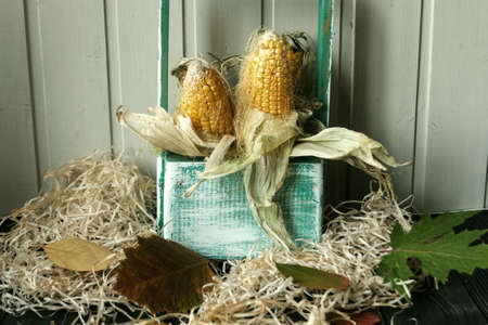The wooden table decorated with vegetables, pumpkins, corn and autumn leaves. Autumn background. Thanksgiving Day concept.の写真素材