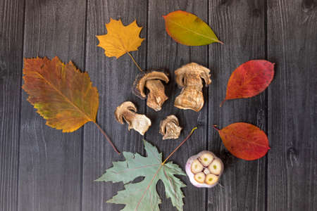 Autumn background with dried mushrooms, garlic and pumpkin. Dry tree leaves. Natural wooden background. Flat lay, top view.の写真素材