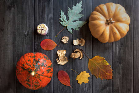 Autumn background with dried mushrooms, garlic and pumpkin. Dry tree leaves. Natural wooden background. Flat lay, top view.の写真素材