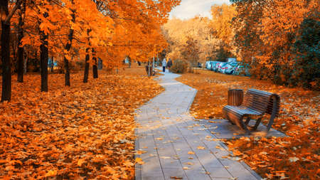 Empty bench in autumn park in Moscow, Russiaの写真素材