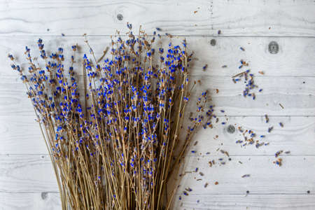 Bunch of dry lavender flowers on rustic background top view mock upの写真素材