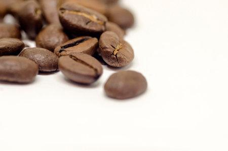 Isolated coffe seeds