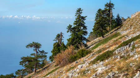 On the top of the Agion Oros (Athos Mountain) in Greece. Mountain landscape and tranquil nature.の写真素材