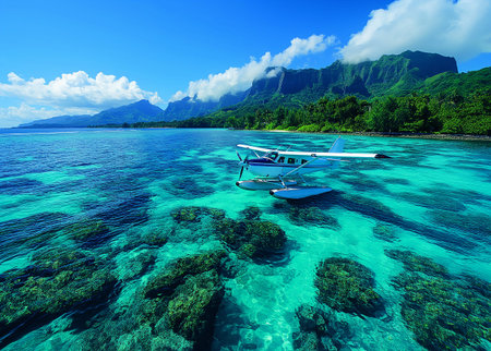 Tropical beach with palm trees and a small seaplane.の素材
