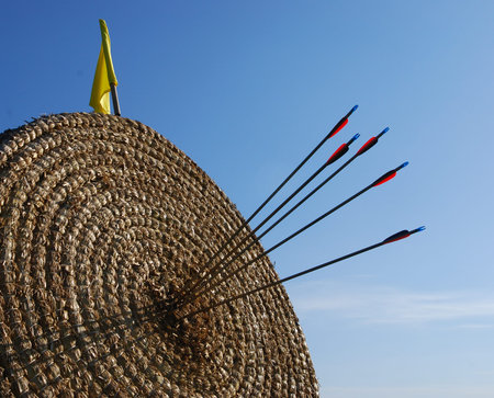 Arrows in the centre of an empty straw target