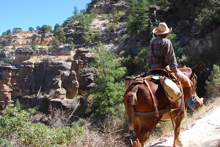 Lone horseman on a trail in the Grand Canyonの写真素材