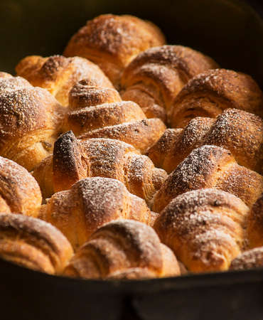 Freshly made croissants in a baking trayの写真素材