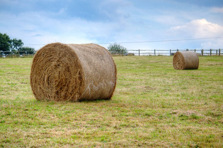 Hay stacks on a field with a blue sky の写真素材