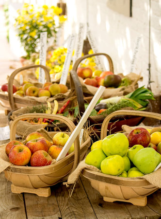 Apples in baskets during apple harvest.の写真素材