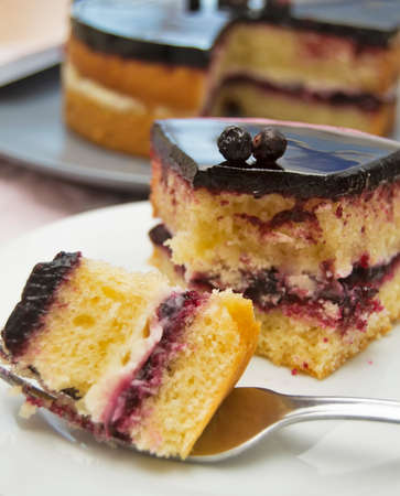 Slice of blackcurrant cake served on a plate.の写真素材