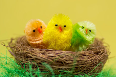 Colorful easter chicks in a wooden nest.