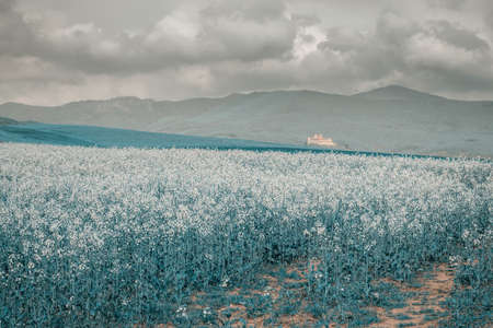 Fantasy land with a castle in the background.の写真素材