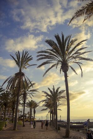Tenerife, Canary Islands - December 29, 2015. Tenerife walkway near the beach during in sunset. Tenerife is a popular tropical destination with toursits from all over the world.のeditorial素材