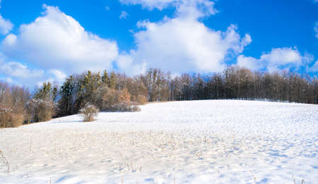 Winter landscape with blue sky and snow.の写真素材