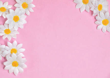 Pink background with little white daisy flowersの写真素材