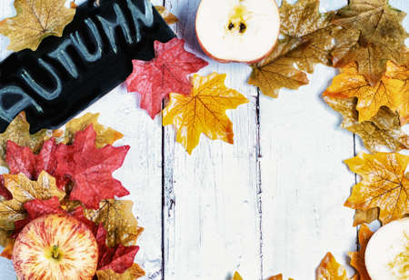 Autumn background with colourful leaves and applesの写真素材