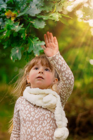 Lttle girl touching the leaves of tree at autumn timeの写真素材