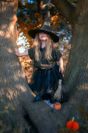 Little witch sitanding on a tree in the forestの写真素材