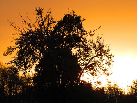 Orange sunset over Somerset, UKの写真素材