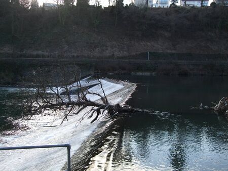 Tree stuck on a weir over the River Taff, Cardiff UKの写真素材
