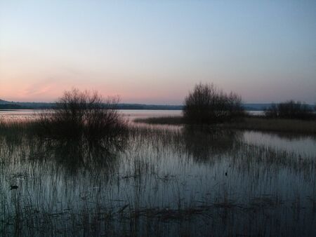 Chew Valley Lake at sunset with water vegetation. Somerset, UKの写真素材
