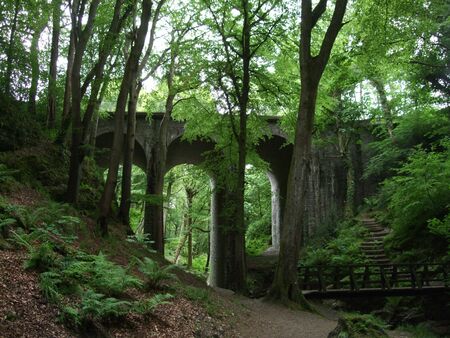 Viaduct across a small valley in a wood, Isle of Man, UKの写真素材