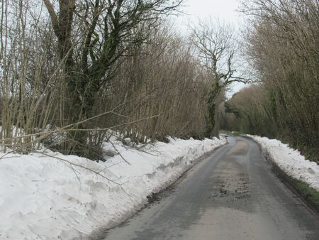 Road with snow through the woods, Mendip Hills, UKの写真素材