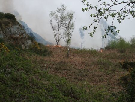 Bush fire on the side of a hill, South Walesの写真素材