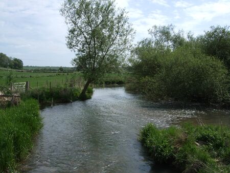 Stream through the fields on the Cotswolds, UKの写真素材