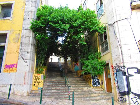 Alleyway with trees in Lisbon, Portugalの写真素材
