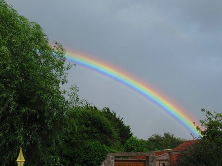 Rainbow in a clouded sky behind treesの写真素材