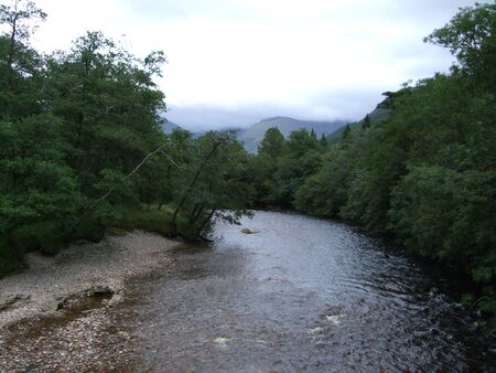 River flowing through a woodの写真素材