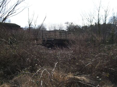 Scorched burnt grassland on a hillの写真素材
