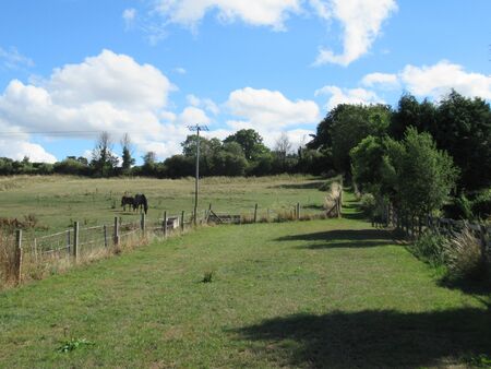 Public path along a field in Somerset, UKの写真素材
