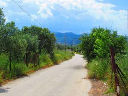 Country lane in Corinth, Greeceの写真素材