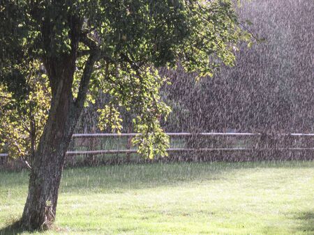 Rain falling on a garden, Somerset, UKの写真素材