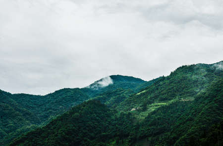The mountains are connected, the clouds are undulating, and the mountains of Shennongjia are wonderful.の写真素材